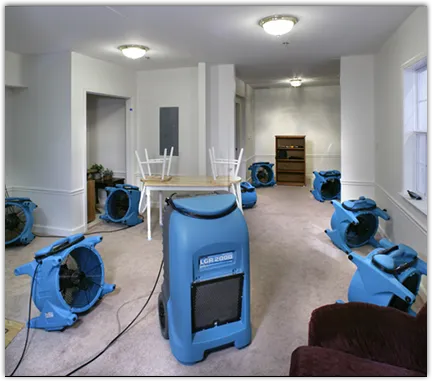 Mold Remediation & Removal in Manchester, NY